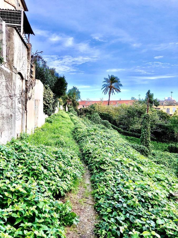 Villa Campana - Bastia Centre Eksteriør bilde